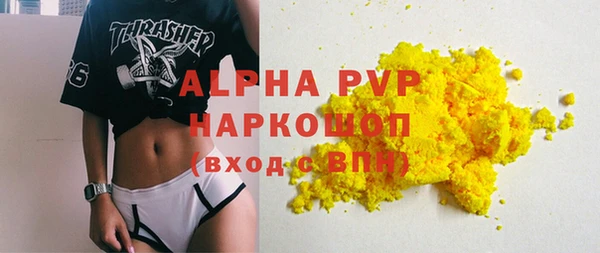 бошки Белокуриха
