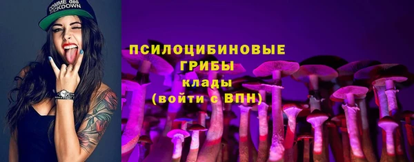 бошки Белокуриха