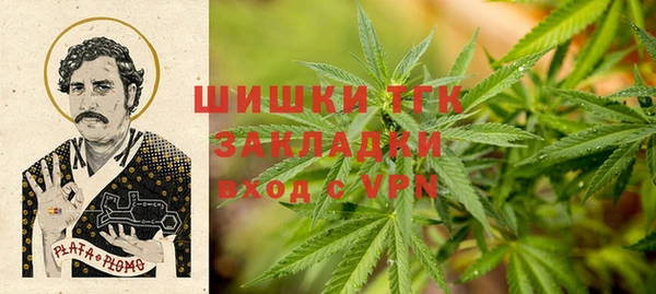 амф Слюдянка