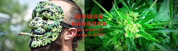 бошки Белокуриха