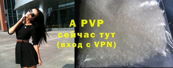 бошки Белокуриха
